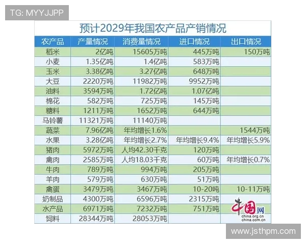 南京排球队全运会表现评析状态回顾与未来展望