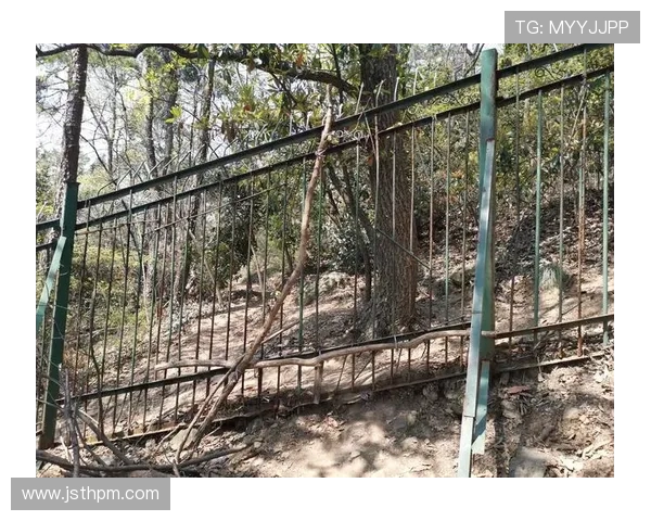 杭州攀岩队防守革新之路探索团队协作与技术提升的全新策略