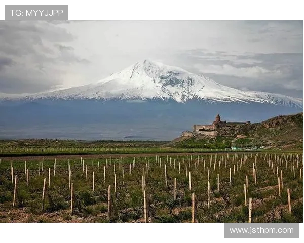 怨恨与阿塞拜疆视频的深度解析与反思