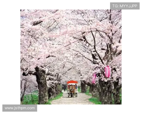 日联杯激战樱花对决札幌争夺晋级名额精彩回顾